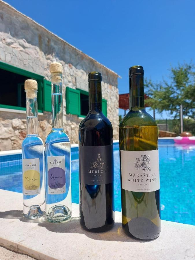 Villa Sagosde With Swimming Pool And Mini Golf Zagvozd Esterno foto